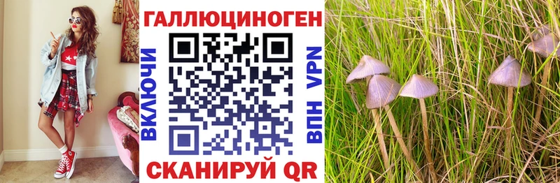 Галлюциногенные грибы Cubensis  Советская Гавань 